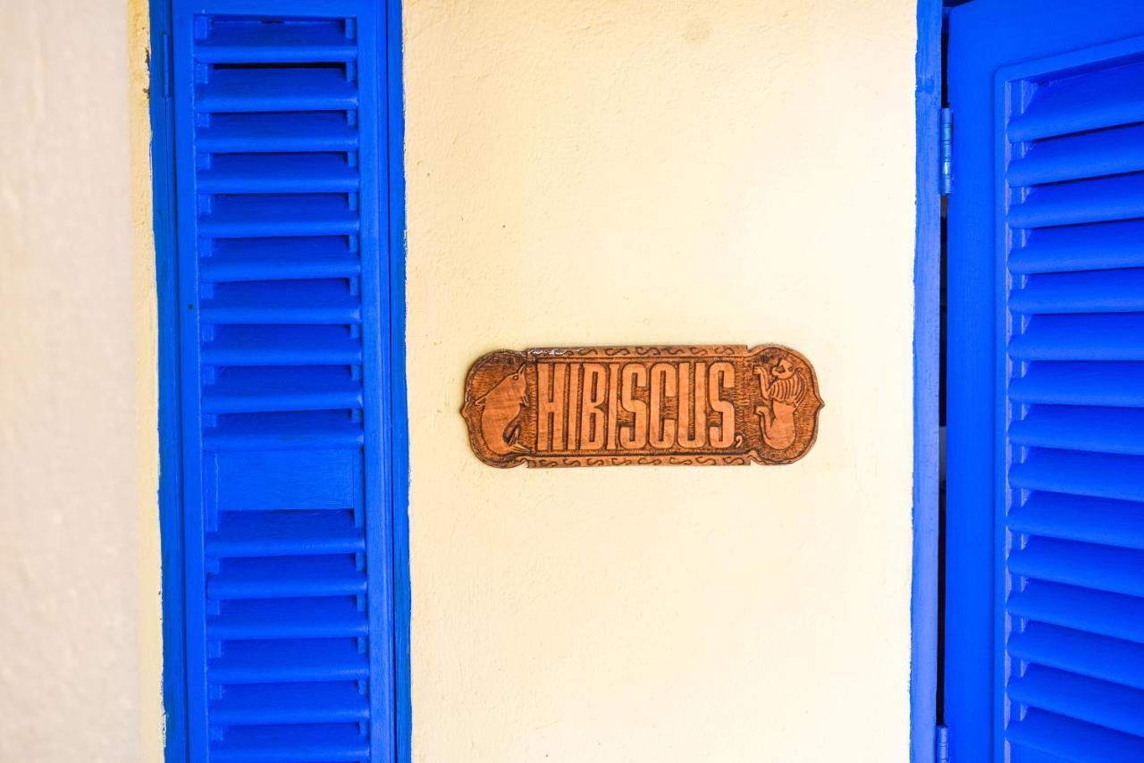 Hibiscus Beach House Pangani Ngoại thất bức ảnh
