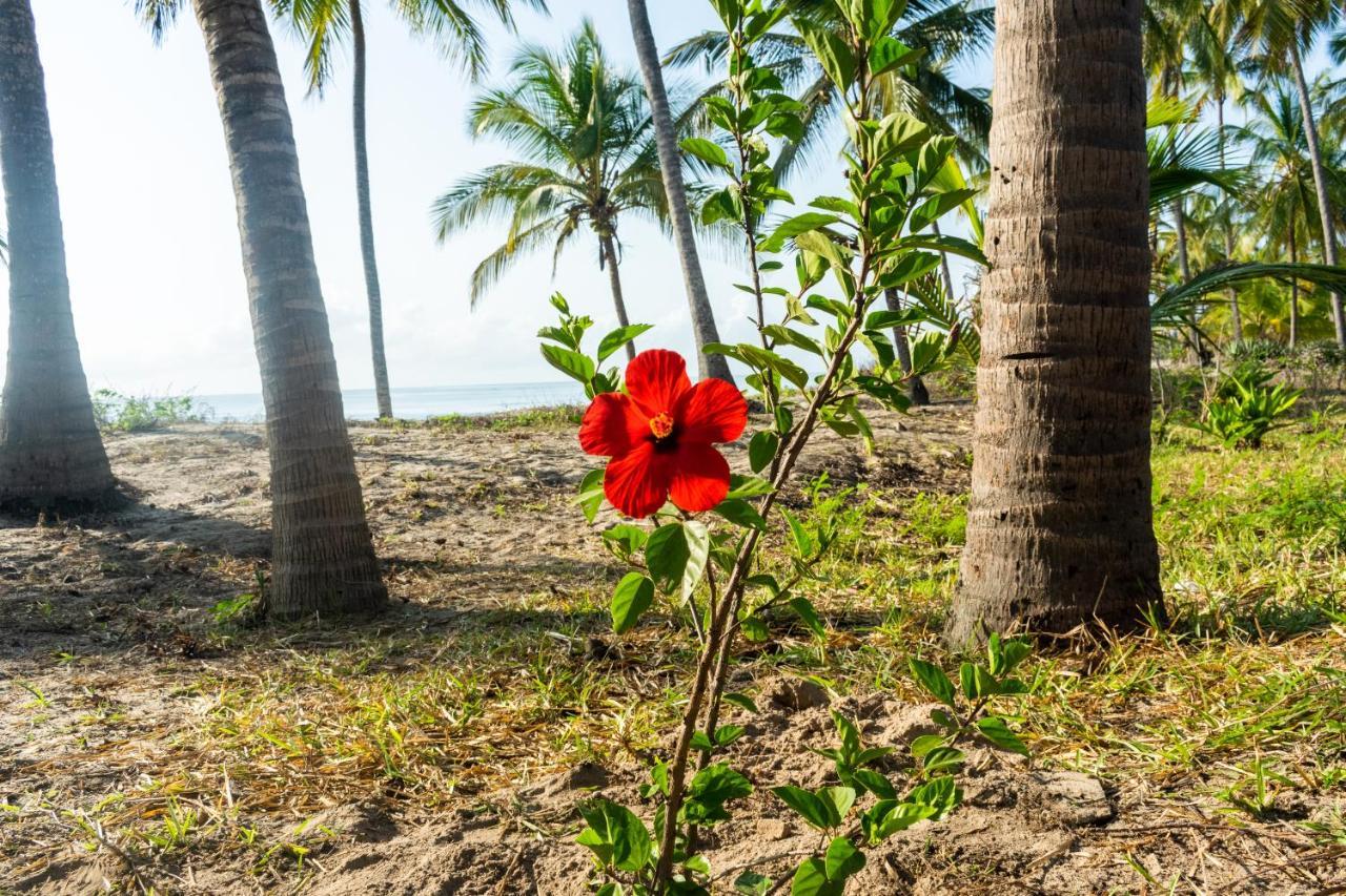 Hibiscus Beach House Pangani Ngoại thất bức ảnh